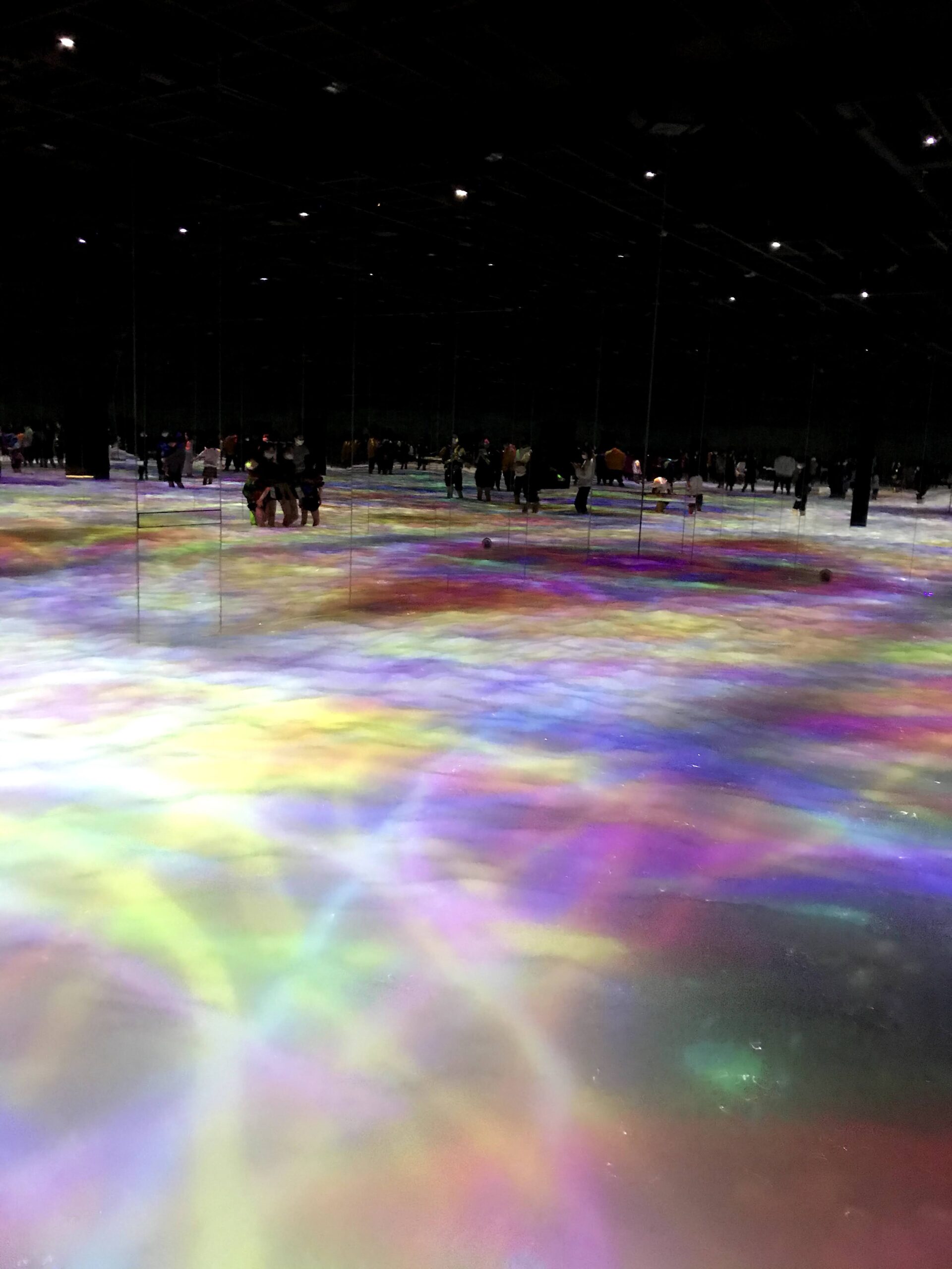 Team lab planets Tokyo