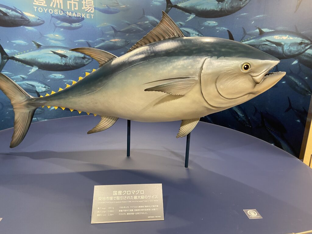 Toyosu fish market